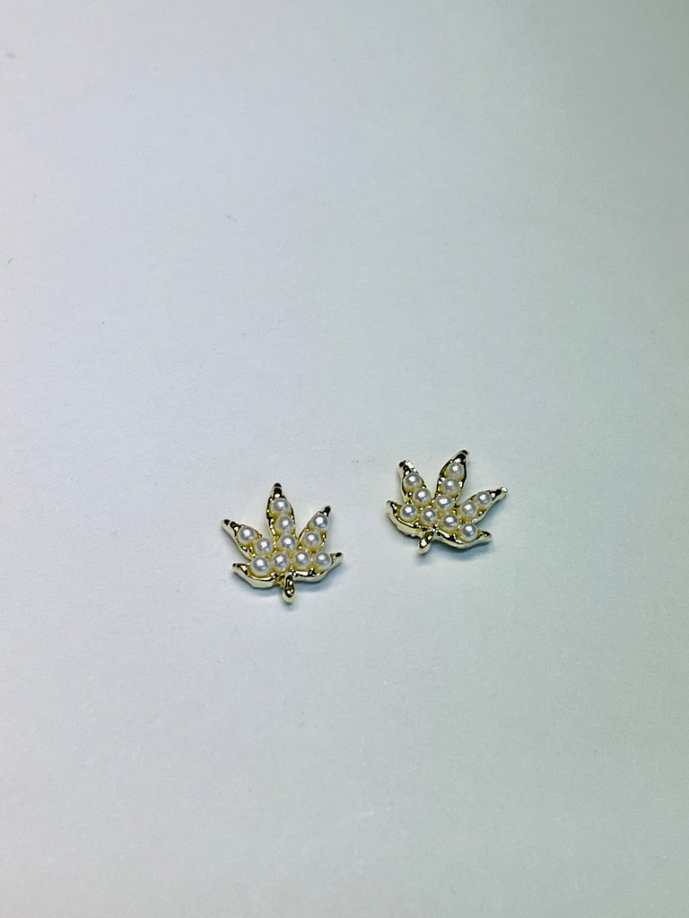 Pearl Pot Leaves (2)