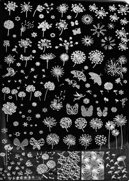 Dandelions & Butterflies XXL Stamping Plates