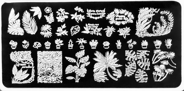 Plants Stamping Plates
