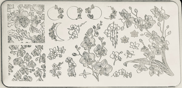 Orchids Stamping Plates