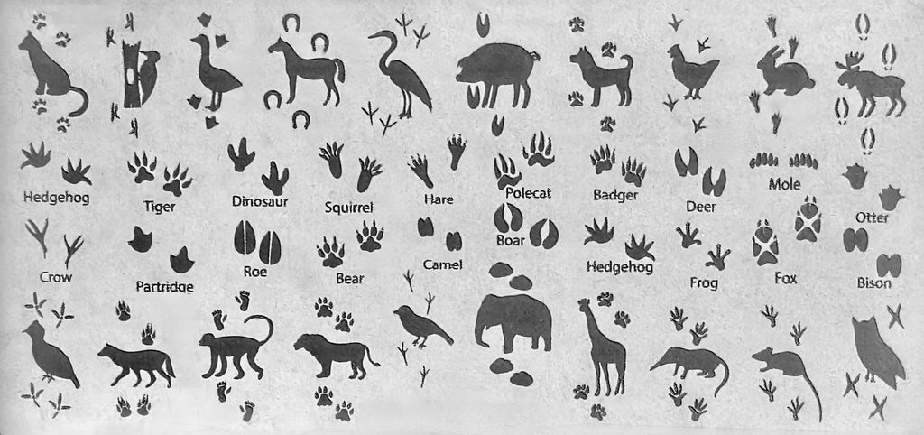 Animals & Tracks Stamping Plate